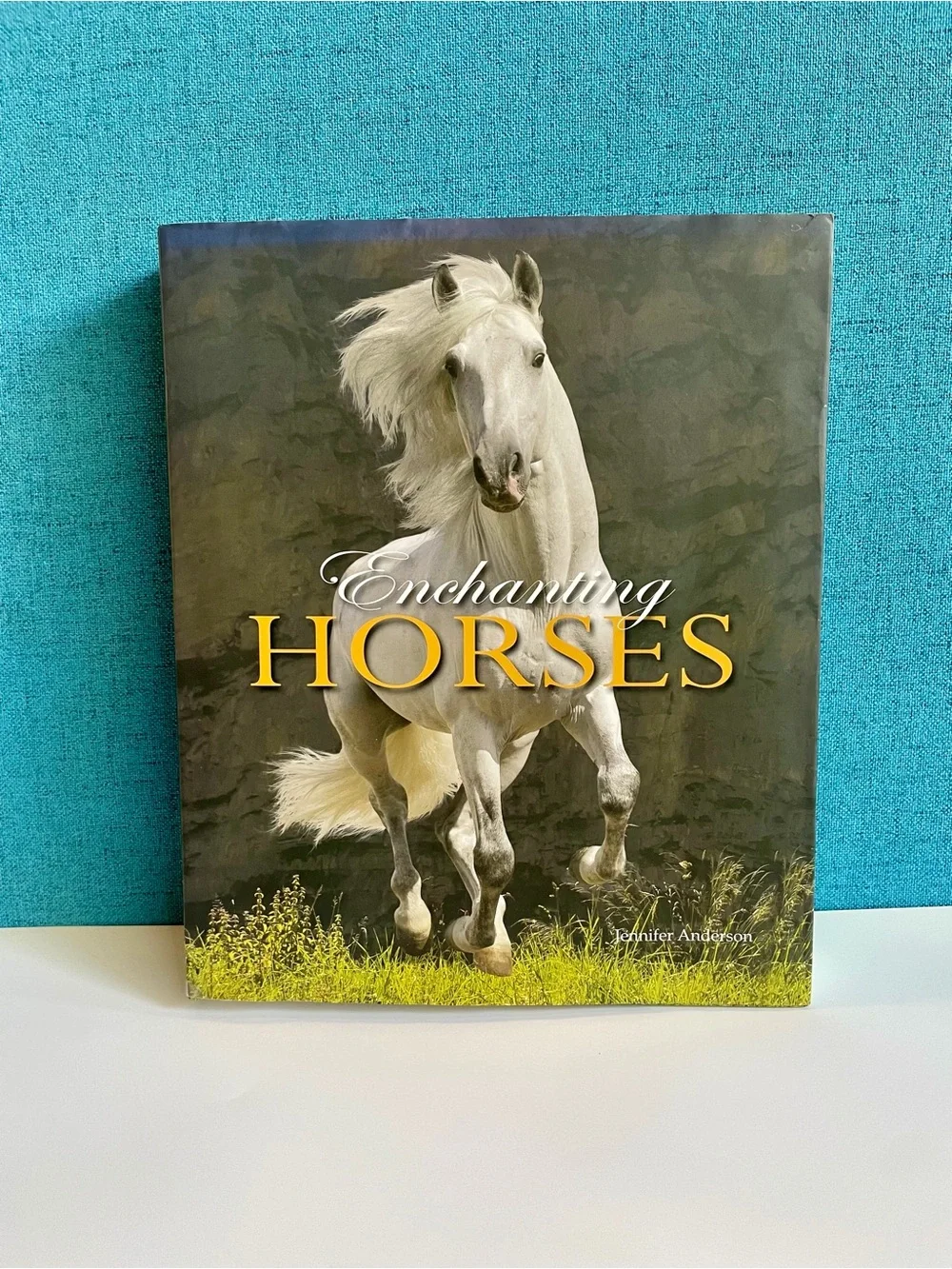 Enchanting Horses by Jennifer Anderson Hardcover book